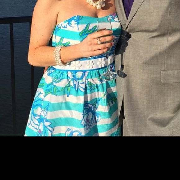 Excellent condition Lilly Pulitzer Langley Dress - Picture 4 of 6